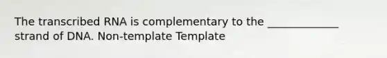 The transcribed RNA is complementary to the _____________ strand of DNA. Non-template Template