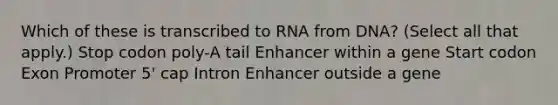 Which of these is transcribed to RNA from DNA? (Select all that apply.) Stop codon poly-A tail Enhancer within a gene Start codon Exon Promoter 5' cap Intron Enhancer outside a gene