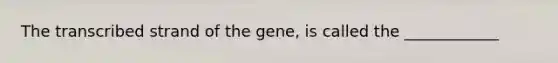 The transcribed strand of the gene, is called the ____________