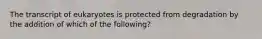 The transcript of eukaryotes is protected from degradation by the addition of which of the following?