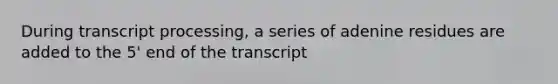 During transcript processing, a series of adenine residues are added to the 5' end of the transcript