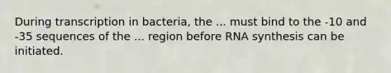 During transcription in bacteria, the ... must bind to the -10 and -35 sequences of the ... region before RNA synthesis can be initiated.