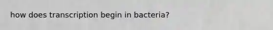 how does transcription begin in bacteria?