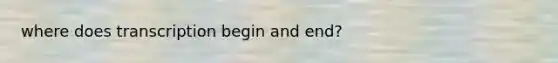 where does transcription begin and end?