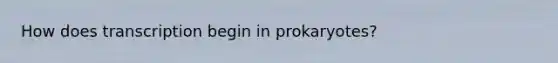 How does transcription begin in prokaryotes?