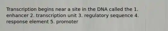 Transcription begins near a site in the DNA called the 1. enhancer 2. transcription unit 3. regulatory sequence 4. response element 5. promoter