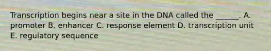 Transcription begins near a site in the DNA called the ______. A. promoter B. enhancer C. response element D. transcription unit E. regulatory sequence