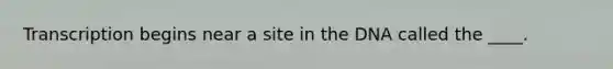 Transcription begins near a site in the DNA called the ____.