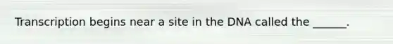 Transcription begins near a site in the DNA called the ______.