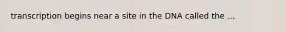 transcription begins near a site in the DNA called the ...