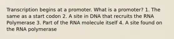 Transcription begins at a promoter. What is a promoter? 1. The same as a start codon 2. A site in DNA that recruits the RNA Polymerase 3. Part of the RNA molecule itself 4. A site found on the RNA polymerase