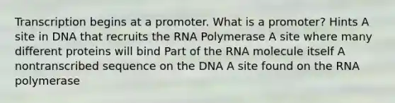 Transcription begins at a promoter. What is a promoter? Hints A site in DNA that recruits the RNA Polymerase A site where many different proteins will bind Part of the RNA molecule itself A nontranscribed sequence on the DNA A site found on the RNA polymerase