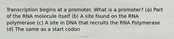 Transcription begins at a promoter. What is a promoter? (a) Part of the RNA molecule itself (b) A site found on the RNA polymerase (c) A site in DNA that recruits the RNA Polymerase (d) The same as a start codon