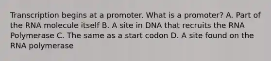 Transcription begins at a promoter. What is a promoter? A. Part of the RNA molecule itself B. A site in DNA that recruits the RNA Polymerase C. The same as a start codon D. A site found on the RNA polymerase