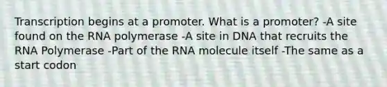 Transcription begins at a promoter. What is a promoter? -A site found on the RNA polymerase -A site in DNA that recruits the RNA Polymerase -Part of the RNA molecule itself -The same as a start codon