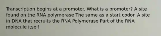 Transcription begins at a promoter. What is a promoter? A site found on the RNA polymerase The same as a start codon A site in DNA that recruits the RNA Polymerase Part of the RNA molecule itself