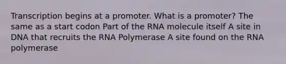 Transcription begins at a promoter. What is a promoter? The same as a start codon Part of the RNA molecule itself A site in DNA that recruits the RNA Polymerase A site found on the RNA polymerase