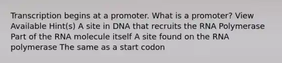 Transcription begins at a promoter. What is a promoter? View Available Hint(s) A site in DNA that recruits the RNA Polymerase Part of the RNA molecule itself A site found on the RNA polymerase The same as a start codon