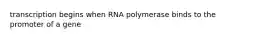 transcription begins when RNA polymerase binds to the promoter of a gene