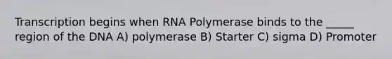 Transcription begins when RNA Polymerase binds to the _____ region of the DNA A) polymerase B) Starter C) sigma D) Promoter