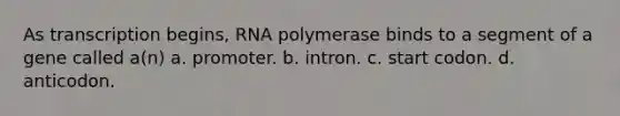 As transcription begins, RNA polymerase binds to a segment of a gene called a(n) a. promoter. b. intron. c. start codon. d. anticodon.