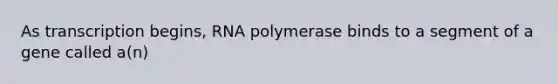 As transcription begins, RNA polymerase binds to a segment of a gene called a(n)