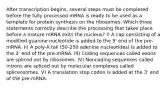 After transcription begins, several steps must be completed before the fully processed mRNA is ready to be used as a template for protein synthesis on the ribosomes. Which three statements correctly describe the processing that takes place before a mature mRNA exits the nucleus? I) A cap consisting of a modified guanine nucleotide is added to the 5' end of the pre-mRNA. II) A poly-A tail (50-250 adenine nucleotides) is added to the 3' end of the pre-mRNA. III) Coding sequences called exons are spliced out by ribosomes. IV) Noncoding sequences called introns are spliced out by molecular complexes called spliceosomes. V) A translation stop codon is added at the 3' end of the pre-mRNA.