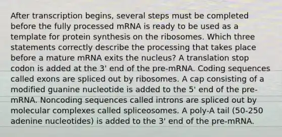 After transcription begins, several steps must be completed before the fully processed mRNA is ready to be used as a template for <a href='https://www.questionai.com/knowledge/kVyphSdCnD-protein-synthesis' class='anchor-knowledge'>protein synthesis</a> on the ribosomes. Which three statements correctly describe the processing that takes place before a mature mRNA exits the nucleus? A translation stop codon is added at the 3' end of the pre-mRNA. Coding sequences called exons are spliced out by ribosomes. A cap consisting of a modified guanine nucleotide is added to the 5' end of the pre-mRNA. Noncoding sequences called introns are spliced out by molecular complexes called spliceosomes. A poly-A tail (50-250 adenine nucleotides) is added to the 3' end of the pre-mRNA.