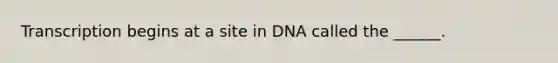 Transcription begins at a site in DNA called the ______.