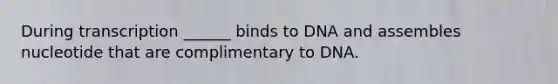 During transcription ______ binds to DNA and assembles nucleotide that are complimentary to DNA.