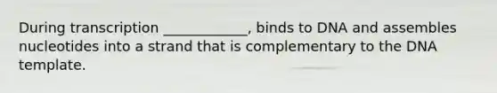 During transcription ____________, binds to DNA and assembles nucleotides into a strand that is complementary to the DNA template.