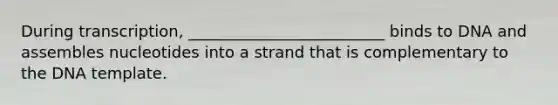 During transcription, _________________________ binds to DNA and assembles nucleotides into a strand that is complementary to the DNA template.