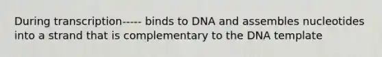 During transcription----- binds to DNA and assembles nucleotides into a strand that is complementary to the DNA template