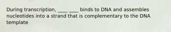 During transcription, ____ ____ binds to DNA and assembles nucleotides into a strand that is complementary to the DNA template