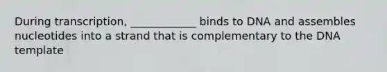 During transcription, ____________ binds to DNA and assembles nucleotides into a strand that is complementary to the DNA template