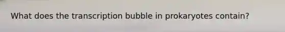 What does the transcription bubble in prokaryotes contain?