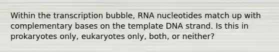 Within the transcription bubble, RNA nucleotides match up with complementary bases on the template DNA strand. Is this in prokaryotes only, eukaryotes only, both, or neither?