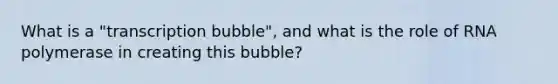 What is a "transcription bubble", and what is the role of RNA polymerase in creating this bubble?