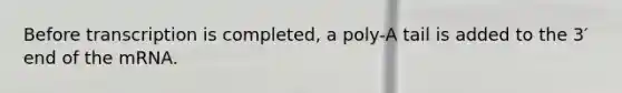 Before transcription is completed, a poly-A tail is added to the 3′ end of the mRNA.