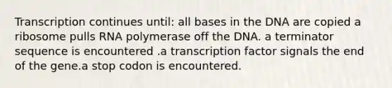 Transcription continues until: all bases in the DNA are copied a ribosome pulls RNA polymerase off the DNA. a terminator sequence is encountered .a transcription factor signals the end of the gene.a stop codon is encountered.