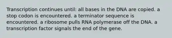 Transcription continues until: all bases in the DNA are copied. a stop codon is encountered. a terminator sequence is encountered. a ribosome pulls RNA polymerase off the DNA. a transcription factor signals the end of the gene.