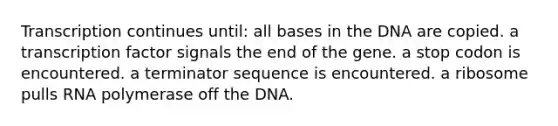 Transcription continues until: all bases in the DNA are copied. a transcription factor signals the end of the gene. a stop codon is encountered. a terminator sequence is encountered. a ribosome pulls RNA polymerase off the DNA.