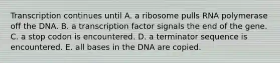 Transcription continues until A. a ribosome pulls RNA polymerase off the DNA. B. a transcription factor signals the end of the gene. C. a stop codon is encountered. D. a terminator sequence is encountered. E. all bases in the DNA are copied.