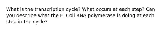 What is the transcription cycle? What occurs at each step? Can you describe what the E. Coli RNA polymerase is doing at each step in the cycle?