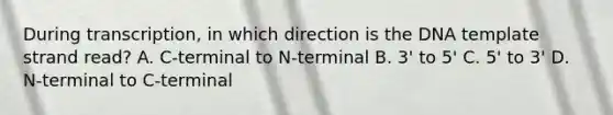 During transcription, in which direction is the DNA template strand read? A. C-terminal to N-terminal B. 3' to 5' C. 5' to 3' D. N-terminal to C-terminal