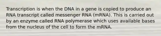 Transcription is when the DNA in a gene is copied to produce an RNA transcript called messenger RNA (mRNA). This is carried out by an enzyme called RNA polymerase which uses available bases from the nucleus of the cell to form the mRNA.