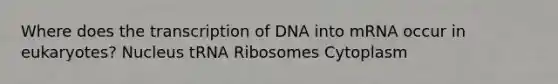 Where does the transcription of DNA into mRNA occur in eukaryotes? Nucleus tRNA Ribosomes Cytoplasm