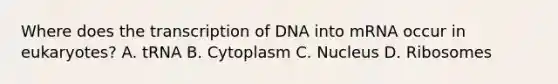 Where does the transcription of DNA into mRNA occur in eukaryotes? A. tRNA B. Cytoplasm C. Nucleus D. Ribosomes