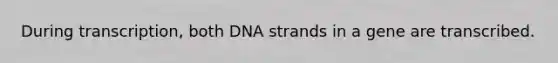 During transcription, both DNA strands in a gene are transcribed.