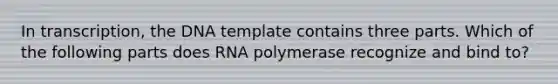 In transcription, the DNA template contains three parts. Which of the following parts does RNA polymerase recognize and bind to?